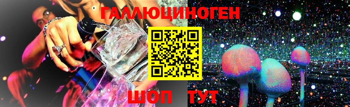 Псилоцибиновые грибы Psilocybine cubensis Аргун